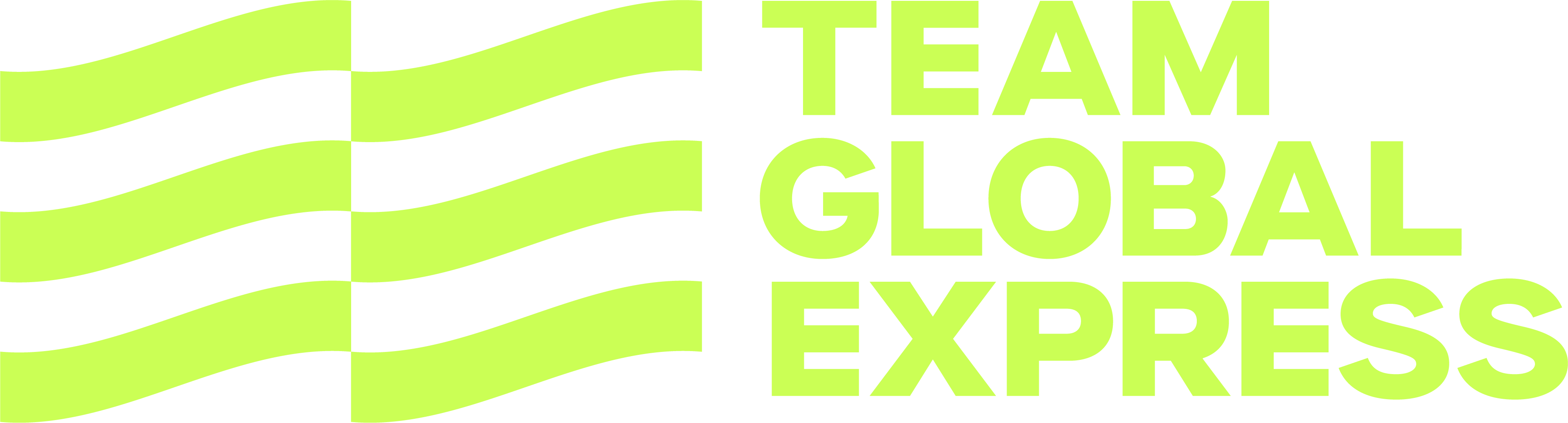 Team Global Express Pty Ltd logo