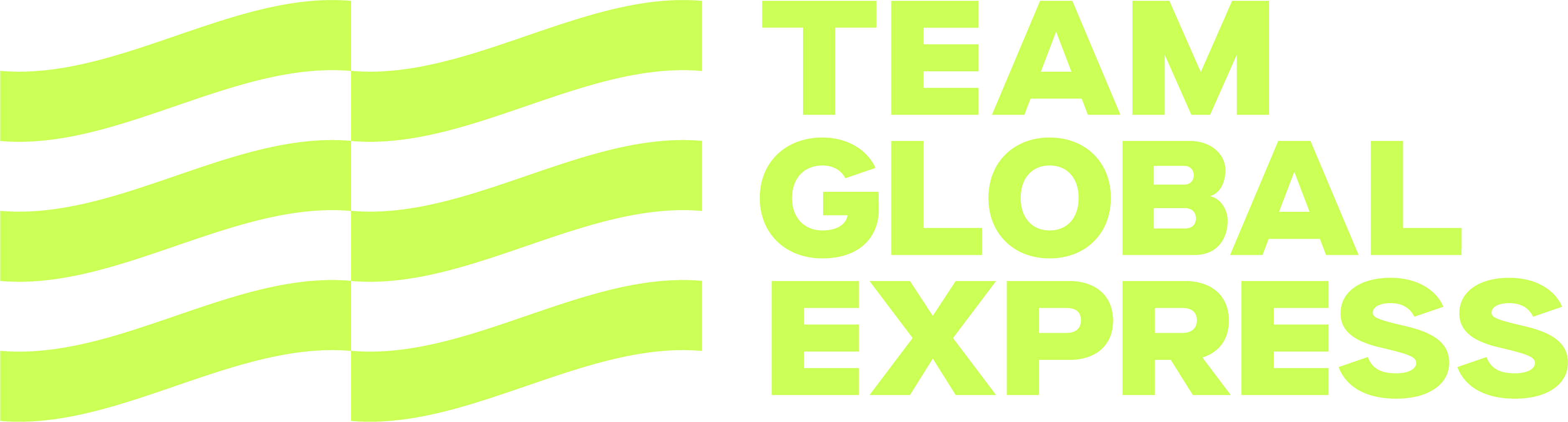 Team Global Express Pty Ltd company logo